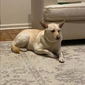 Meet your Posher, Jay